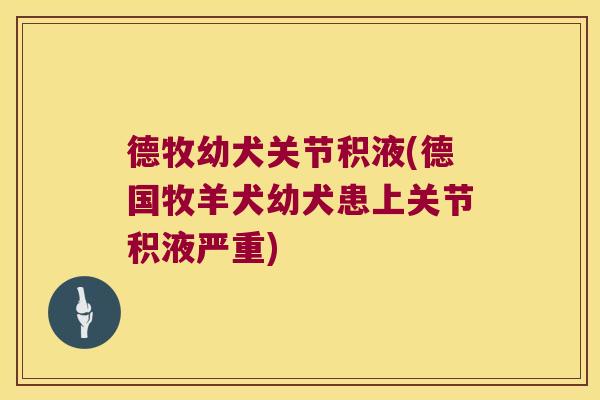 德牧幼犬关节积液(德国牧羊犬幼犬患上关节积液严重)
