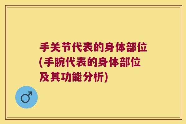 手关节代表的身体部位(手腕代表的身体部位及其功能分析)