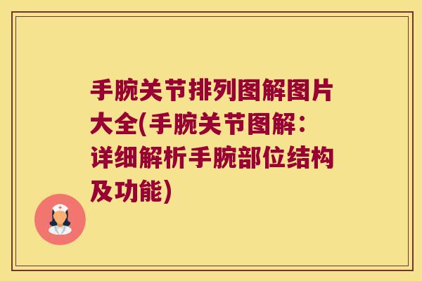 手腕关节排列图解图片大全(手腕关节图解:详细解析手腕部位结构及功能)