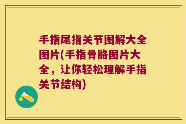 手指尾指关节图解大全图片(手指骨骼图片大全,让你轻松理解手指关节结构)