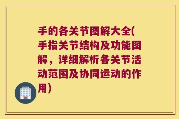 手的各关节图解大全(手指关节结构及功能图解,详细解析各关节活动范围及协同运动的作用)