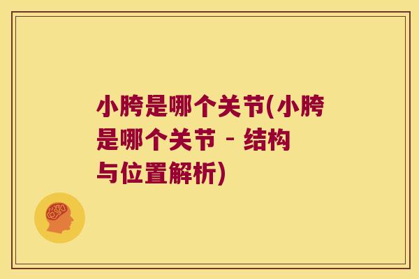 小胯是哪个关节(小胯是哪个关节 - 结构与位置解析)