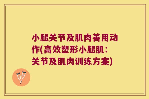 小腿关节及肌肉善用动作(高效塑形小腿肌:关节及肌肉训练方案)