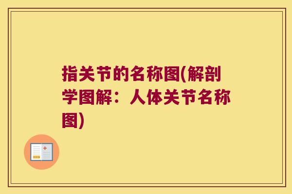指关节的名称图(解剖学图解:人体关节名称图)