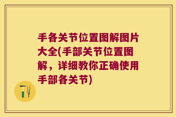 手各关节位置图解图片大全(手部关节位置图解,详细教你正确使用手部各关节)
