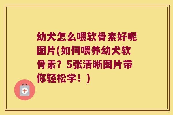 幼犬怎么喂软骨素好呢图片(如何喂养幼犬软骨素?5张清晰图片带你轻松学!)