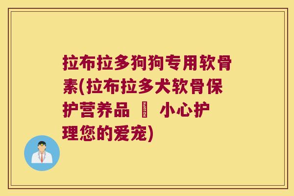拉布拉多狗狗专用软骨素(拉布拉多犬软骨保护营养品 – 小心护理您的爱宠)