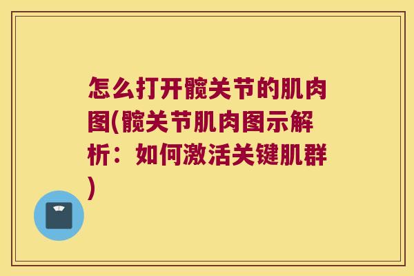怎么打开髋关节的肌肉图(髋关节肌肉图示解析:如何激活关键肌群)