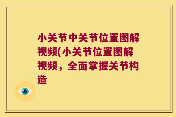 小关节中关节位置图解视频(小关节位置图解视频,全面掌握关节构造