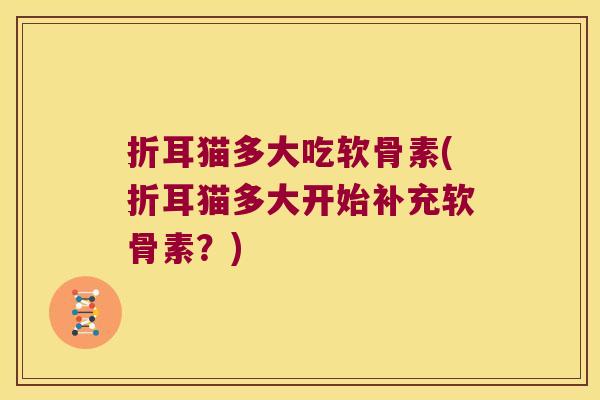 折耳猫多大吃软骨素(折耳猫多大开始补充软骨素?)