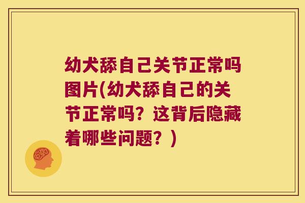 幼犬舔自己关节正常吗图片(幼犬舔自己的关节正常吗?这背后隐藏着哪些问题?)