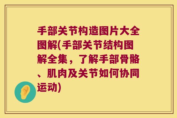 手部关节构造图片大全图解(手部关节结构图解全集,了解手部骨骼、肌肉及关节如何协同运动)