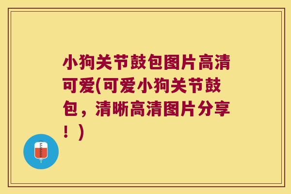 小狗关节鼓包图片高清可爱(可爱小狗关节鼓包，清晰高清图片分享！)