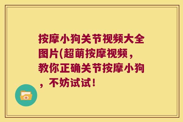 按摩小狗关节视频大全图片(超萌按摩视频,教你正确关节按摩小狗,不妨试试!