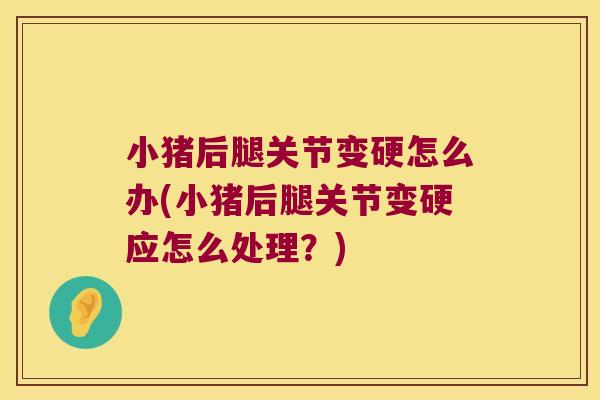 小猪后腿关节变硬怎么办(小猪后腿关节变硬应怎么处理?)