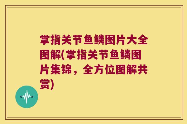 掌指关节鱼鳞图片大全图解(掌指关节鱼鳞图片集锦,全方位图解共赏)