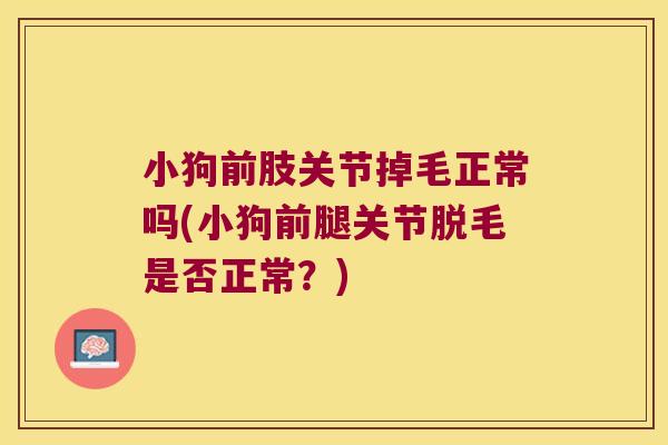 小狗前肢关节掉毛正常吗(小狗前腿关节脱毛是否正常?)