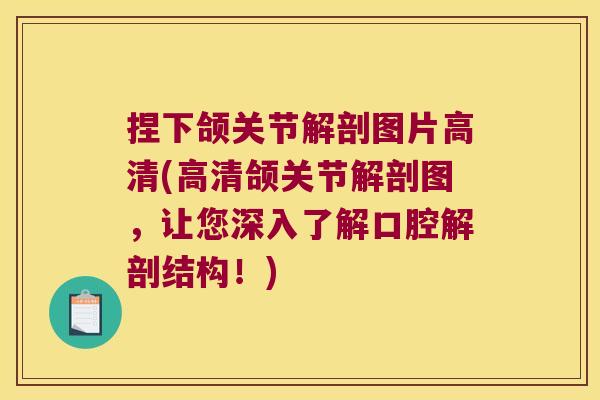 捏下颌关节解剖图片高清(高清颌关节解剖图,让您深入了解口腔解剖结构!)