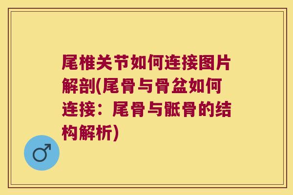尾椎关节如何连接图片解剖(尾骨与骨盆如何连接:尾骨与骶骨的结构解析)