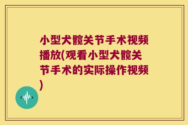 小型犬髋关节手术视频播放(观看小型犬髋关节手术的实际操作视频)
