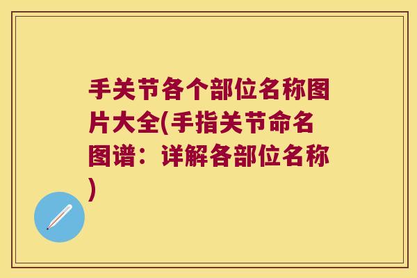 手关节各个部位名称图片大全(手指关节命名图谱:详解各部位名称)