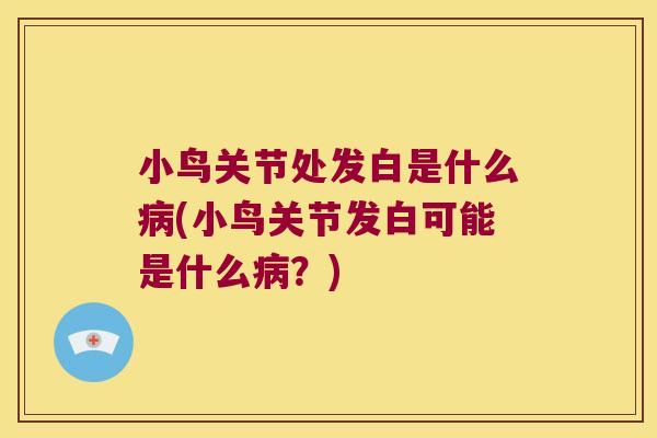 小鸟关节处发白是什么病(小鸟关节发白可能是什么病?)