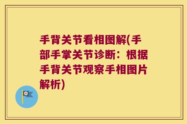 手背关节看相图解(手部手掌关节诊断:根据手背关节观察手相图片解析)