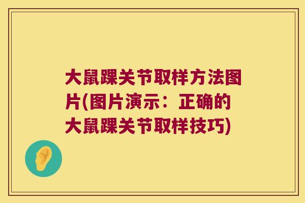 大鼠踝关节取样方法图片(图片演示:正确的大鼠踝关节取样技巧)