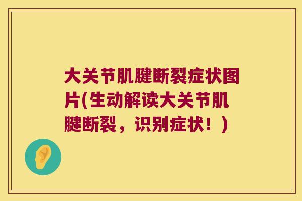 大关节肌腱断裂症状图片(生动解读大关节肌腱断裂,识别症状!)