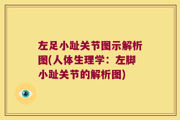 左足小趾关节图示解析图(人体生理学:左脚小趾关节的解析图)
