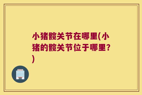 小猪髋关节在哪里(小猪的髋关节位于哪里?)