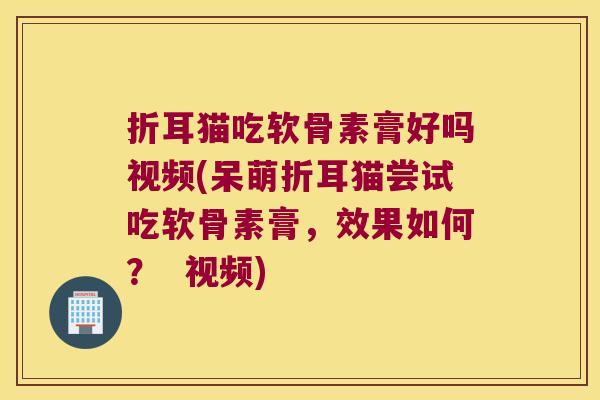 折耳猫吃软骨素膏好吗视频(呆萌折耳猫尝试吃软骨素膏,效果如何? 视频)