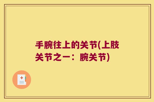 手腕往上的关节(上肢关节之一:腕关节)