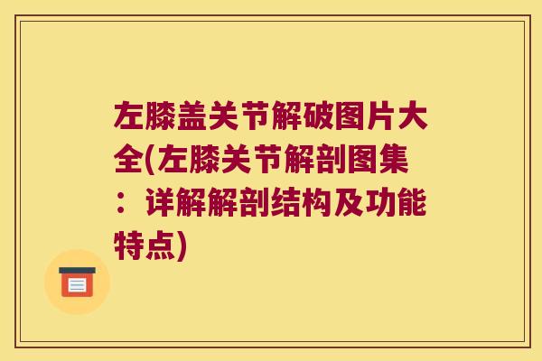 左膝盖关节解破图片大全(左膝关节解剖图集:详解解剖结构及功能特点)