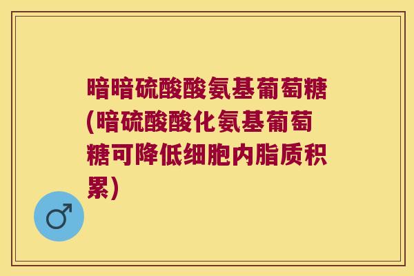 暗暗硫酸酸氨基葡萄糖(暗硫酸酸化氨基葡萄糖可降低细胞内脂质积累)