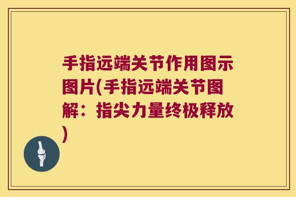 手指远端关节作用图示图片(手指远端关节图解:指尖力量终极释放)