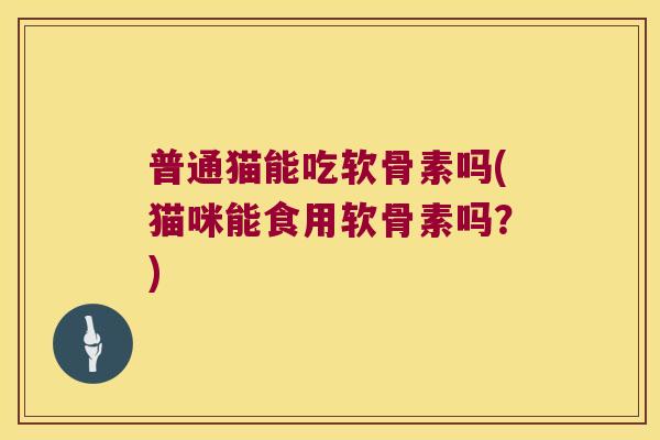 普通猫能吃软骨素吗(猫咪能食用软骨素吗?)