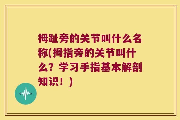拇趾旁的关节叫什么名称(拇指旁的关节叫什么?学习手指基本解剖知识!)