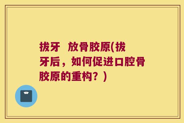 拔牙 放骨胶原(拔牙后,如何促进口腔骨胶原的重构?)
