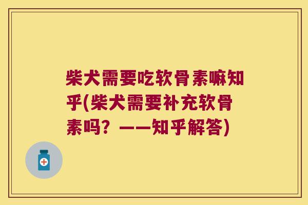 柴犬需要吃软骨素嘛知乎(柴犬需要补充软骨素吗?——知乎解答) 柴犬需要吃软骨素嘛知乎(柴犬需要补充软骨素吗?——知乎解答)