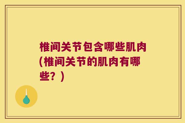 椎间关节包含哪些肌肉(椎间关节的肌肉有哪些?)