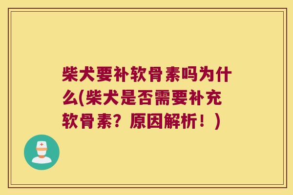 柴犬要补软骨素吗为什么(柴犬是否需要补充软骨素?原因解析!)