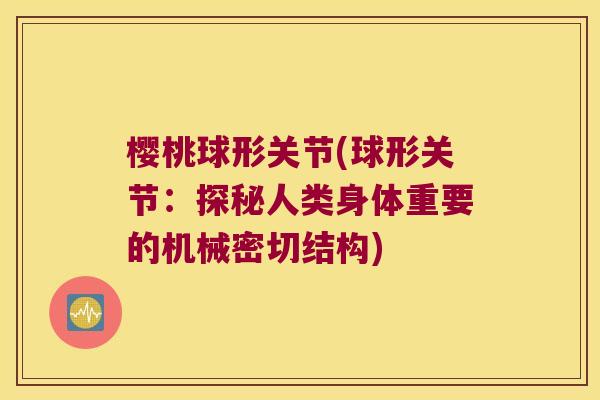 樱桃球形关节(球形关节:探秘人类身体重要的机械密切结构)