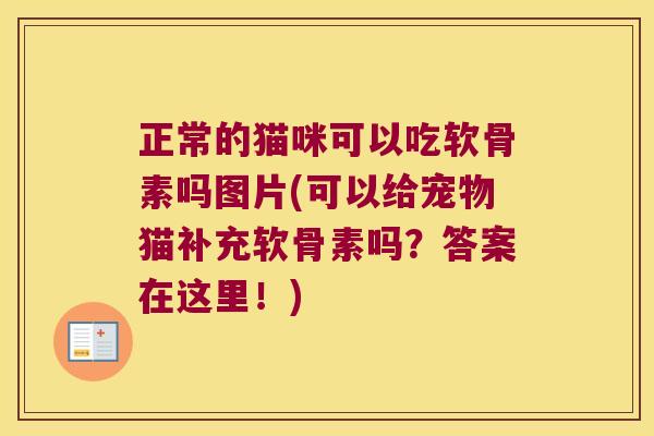 正常的猫咪可以吃软骨素吗图片(可以给宠物猫补充软骨素吗?答案在这里!)