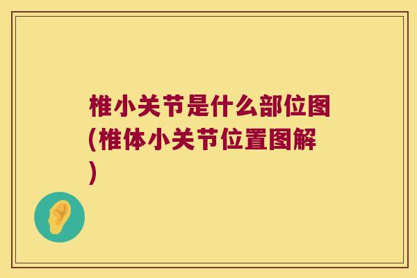 椎小关节是什么部位图(椎体小关节位置图解)