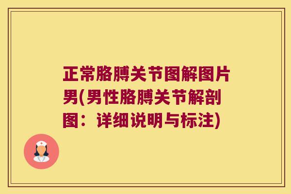 正常胳膊关节图解图片男(男性胳膊关节解剖图:详细说明与标注)
