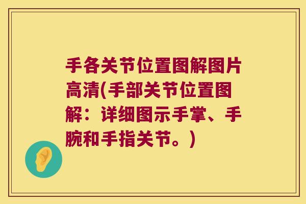 手各关节位置图解图片高清(手部关节位置图解:详细图示手掌、手腕和手指关节。)