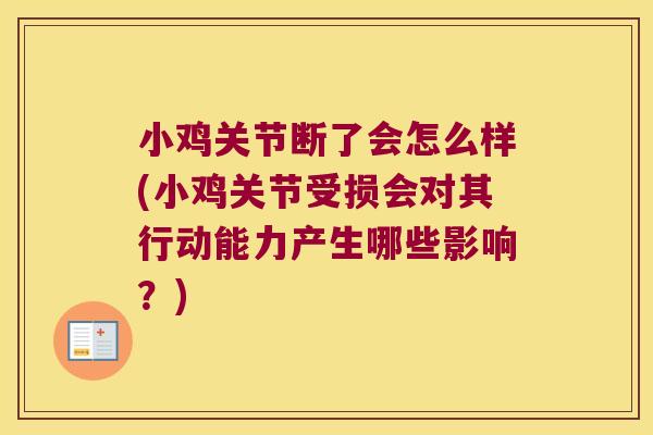 小鸡关节断了会怎么样(小鸡关节受损会对其行动能力产生哪些影响?) 小鸡关节断了会怎么样(小鸡关节受损会对其行动能力产生哪些影响?)