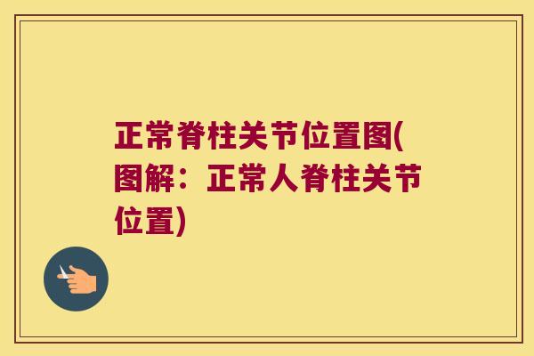 正常脊柱关节位置图(图解:正常人脊柱关节位置)