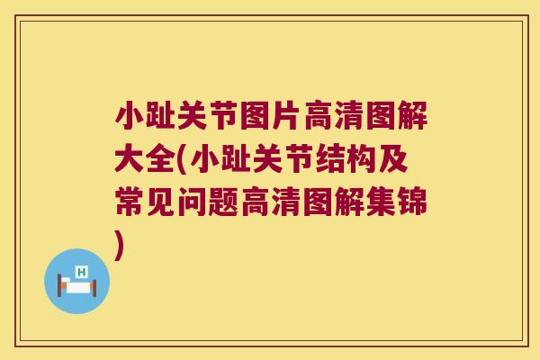 小趾关节图片高清图解大全(小趾关节结构及常见问题高清图解集锦)